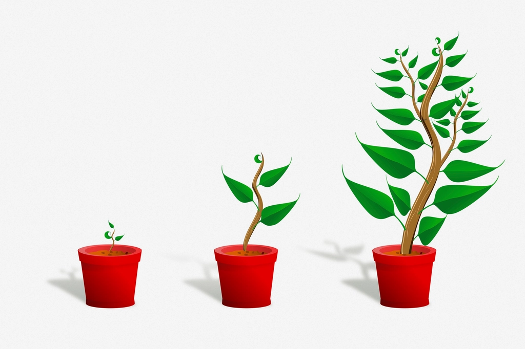 3 plants clipart